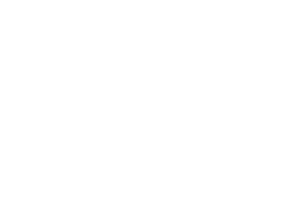 logo s