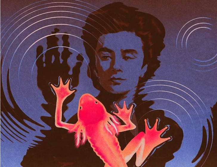 Vidas paralelas: un podcast literario que revive la vida y obra de escritores chilenos