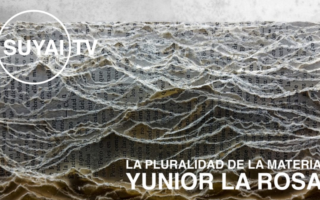 La pluralidad de la materia