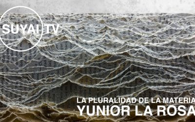 La pluralidad de la materia