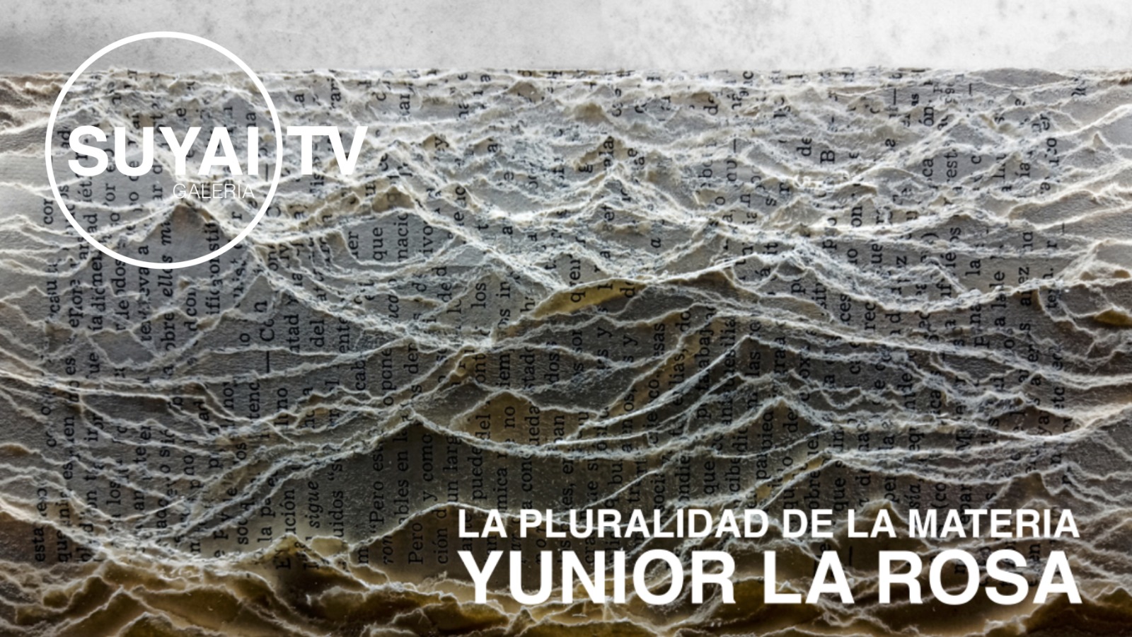 La pluralidad de la materia