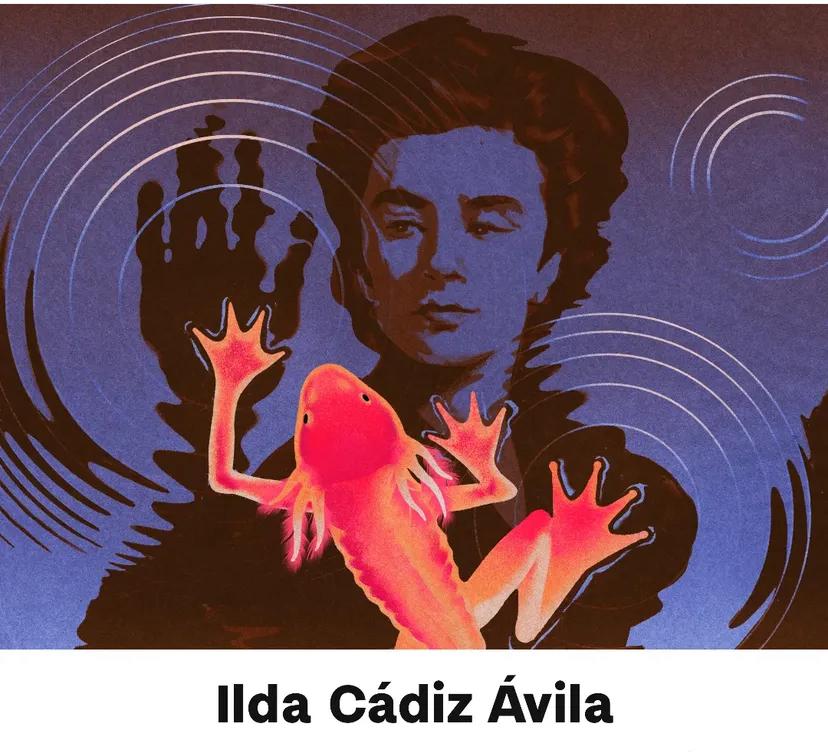 ilda