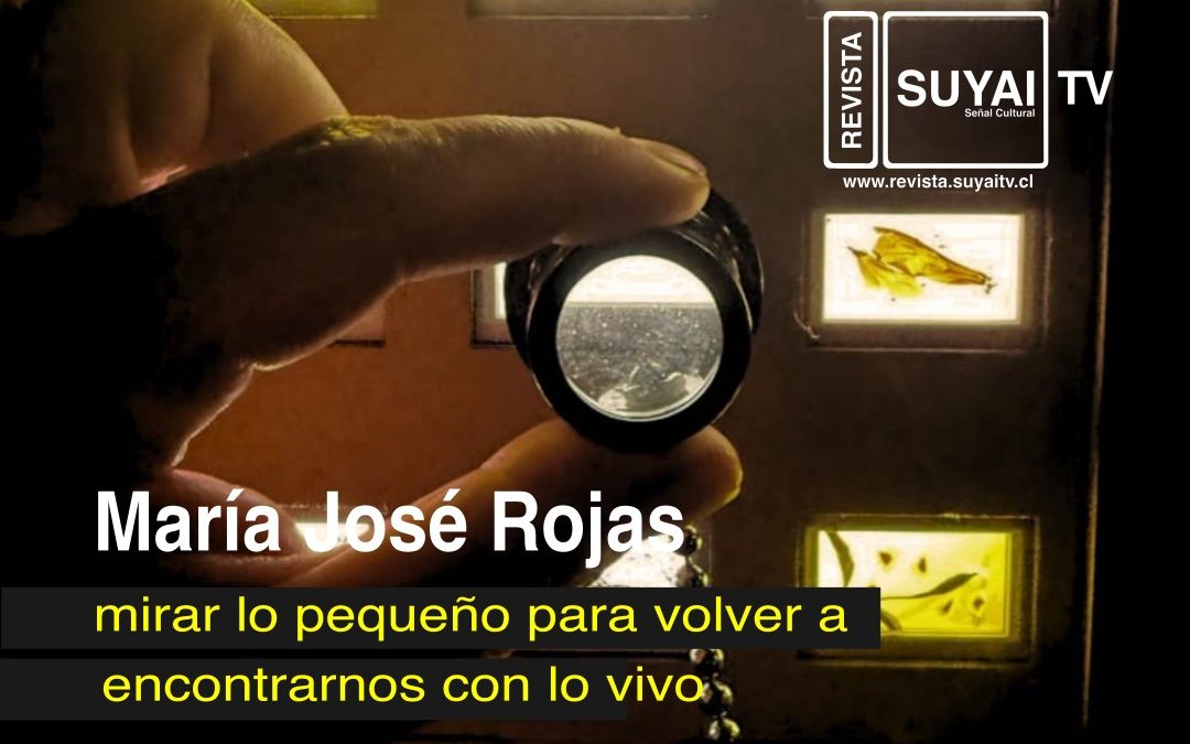 INTERIOR_NATURALEZA María José Rojas: mirar lo pequeño para volver a encontrarnos con lo vivo.