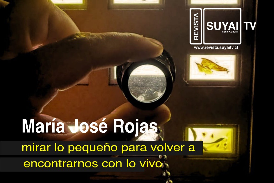 INTERIOR_NATURALEZA María José Rojas: mirar lo pequeño para volver a encontrarnos con lo vivo.